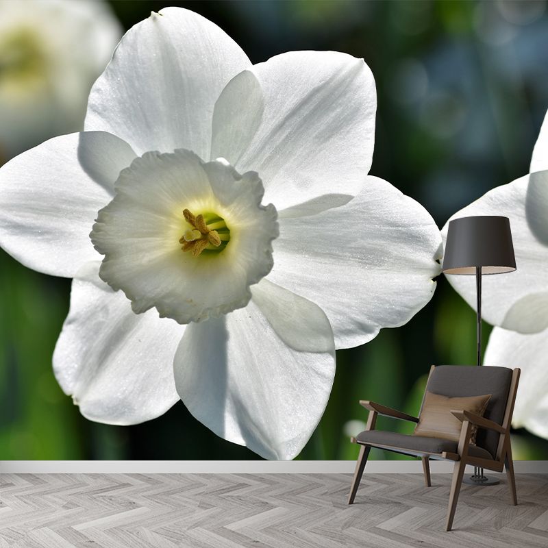 Customized Contemporary Daffodil Mural Mildew Resistant for Sitting Room Bedroom