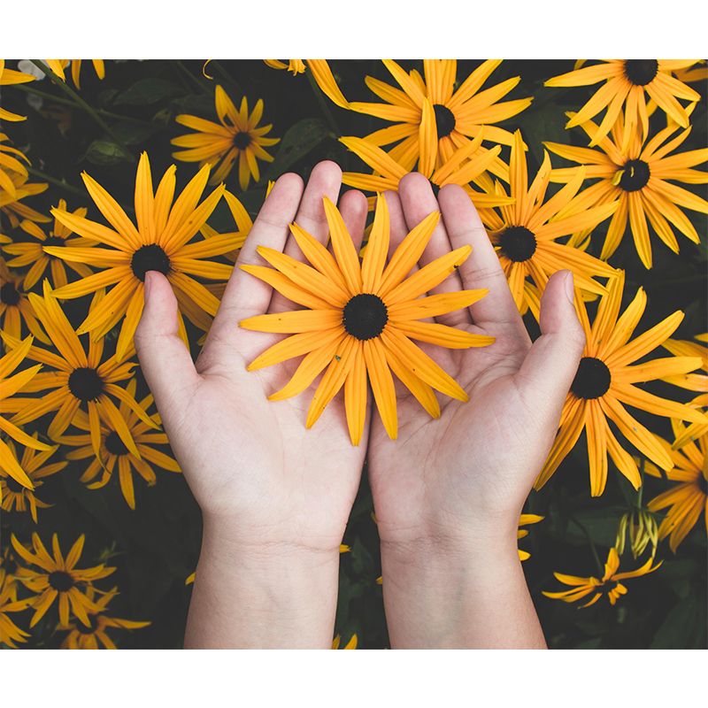 Environment Friendly Decorative Murals Flower Sitting Room Wall Murals