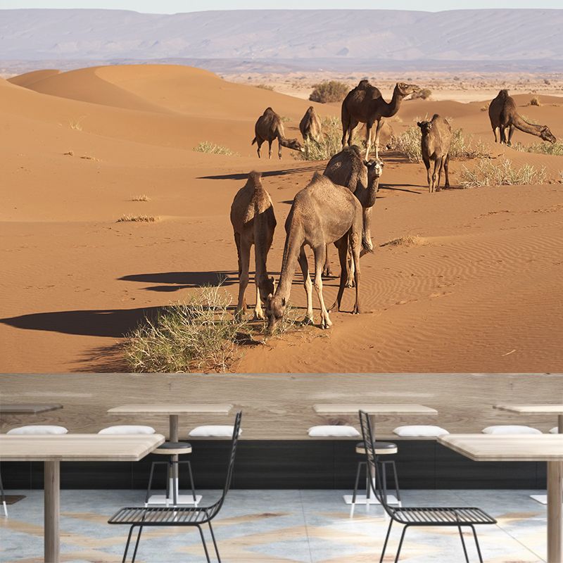 Camel Animal Murals Decal Washable Stain Resistant, Bedroom Wall Decoration