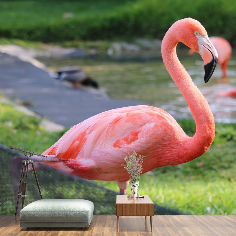 Tropical Flamingo Wall Decal Stain Resistant Murals Decoration for Bedroom