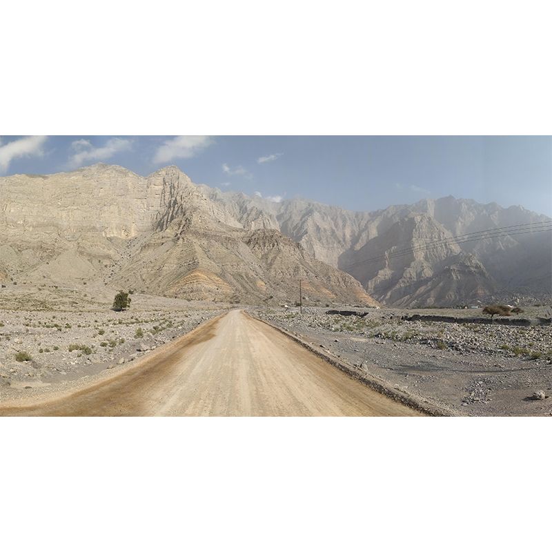 Contemporary Photography Style Desert Mural Wallpaper Mildew Resistant for Home