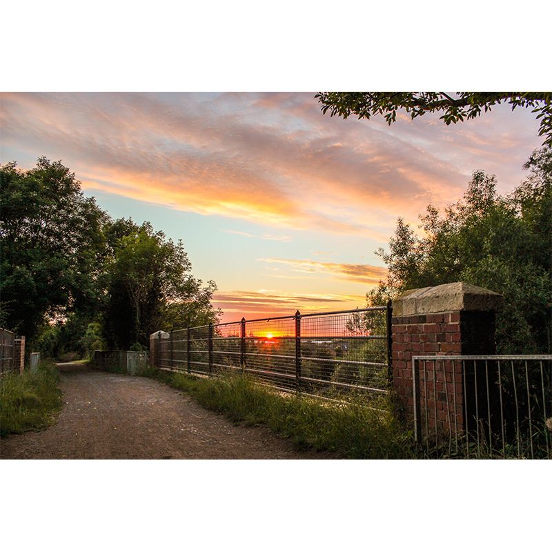 Customized Space Extension Mural Photography Environment Friendly for Bedroom