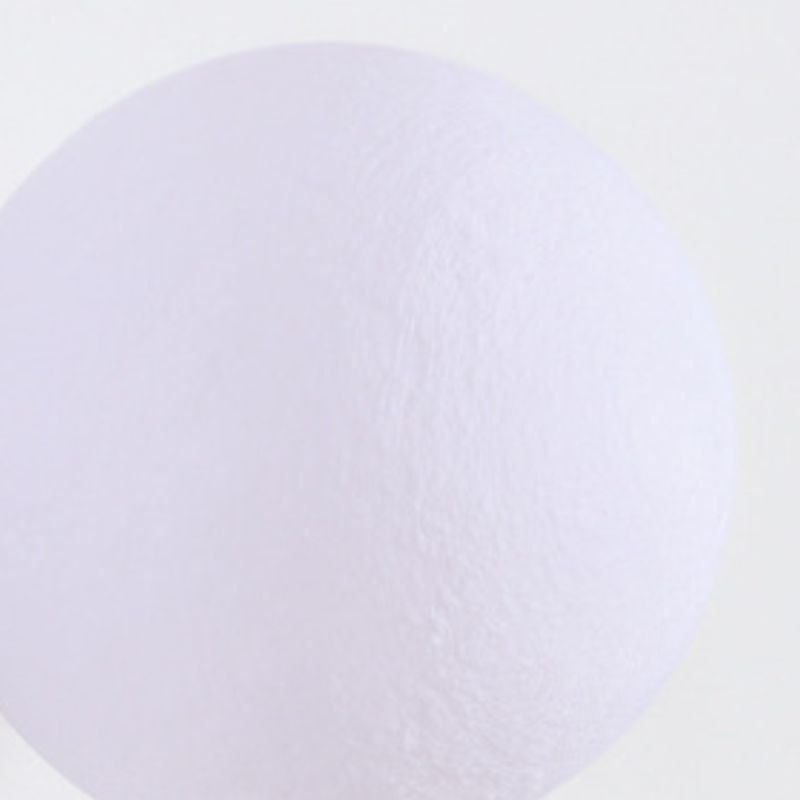 Children Metal Wall Light Flush Mount Globe Shaded Lighting for Foyer and Home