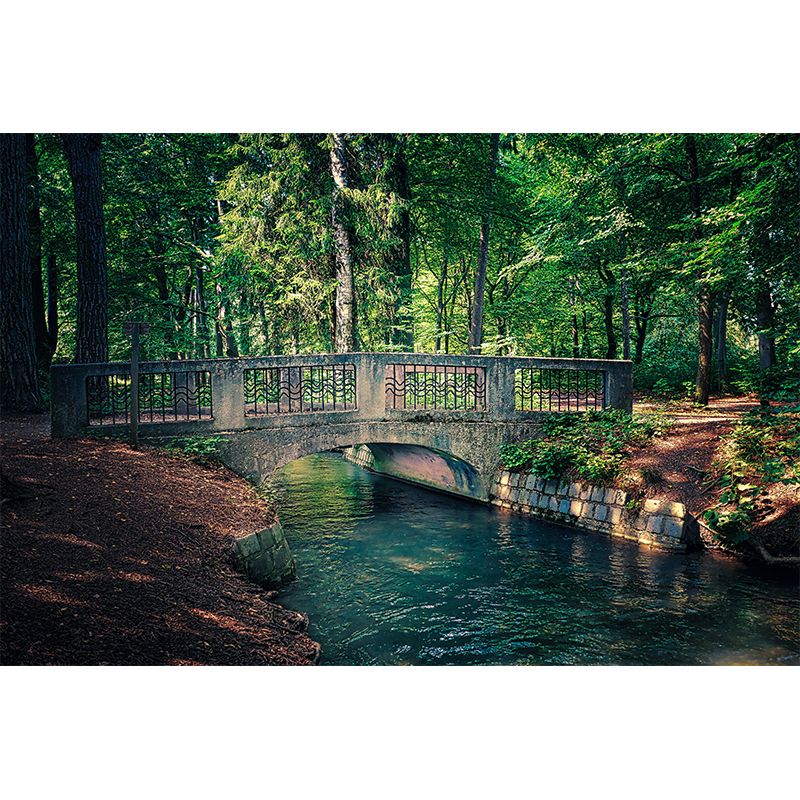 Customized Stone Bridge Architecture Mural Stain Resistant for Living Room