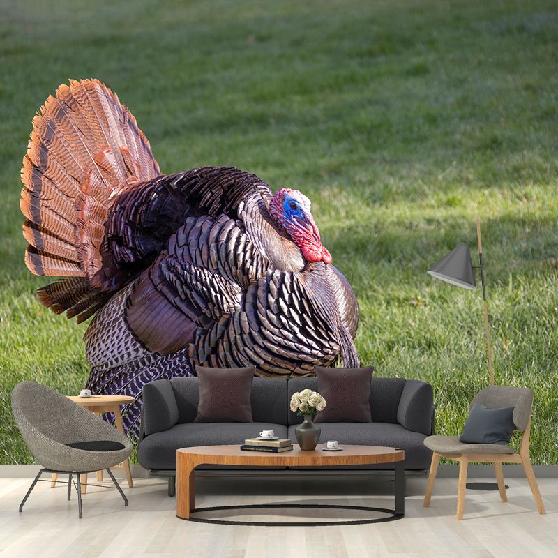 Customized Wild Turkey Wall Mural Horizontal Photography for Sleeping Room