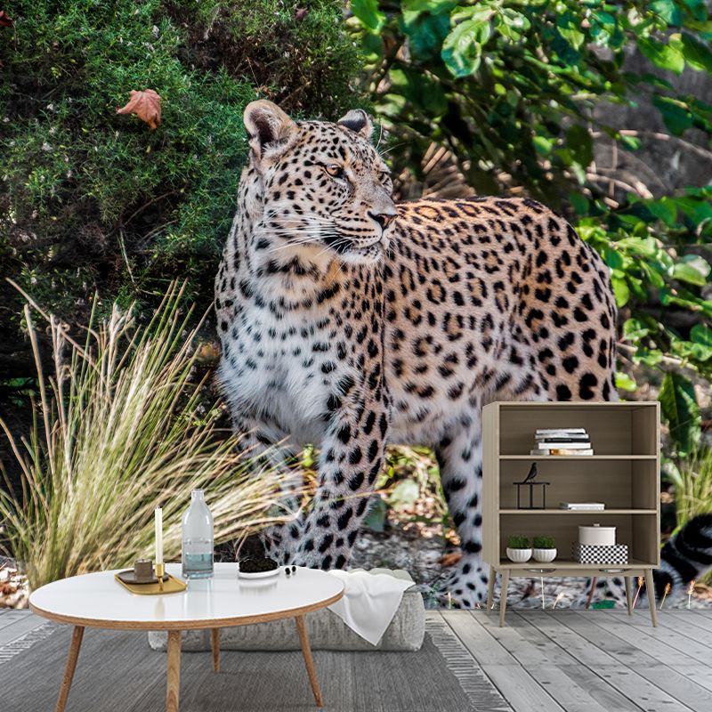 Customized Leopard Wall Mural Contemporary Photography for Bedroom Living Room