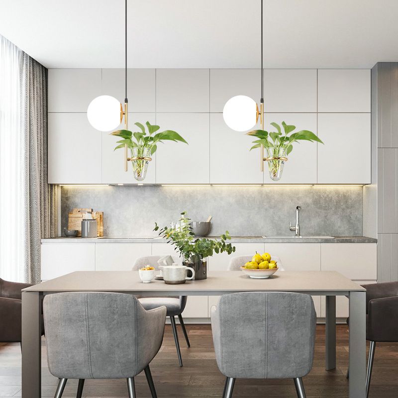 1 Light Hydroponics Botany Pendant Light moderne moderne Minimaliste en verre sphérique Salle de restauration