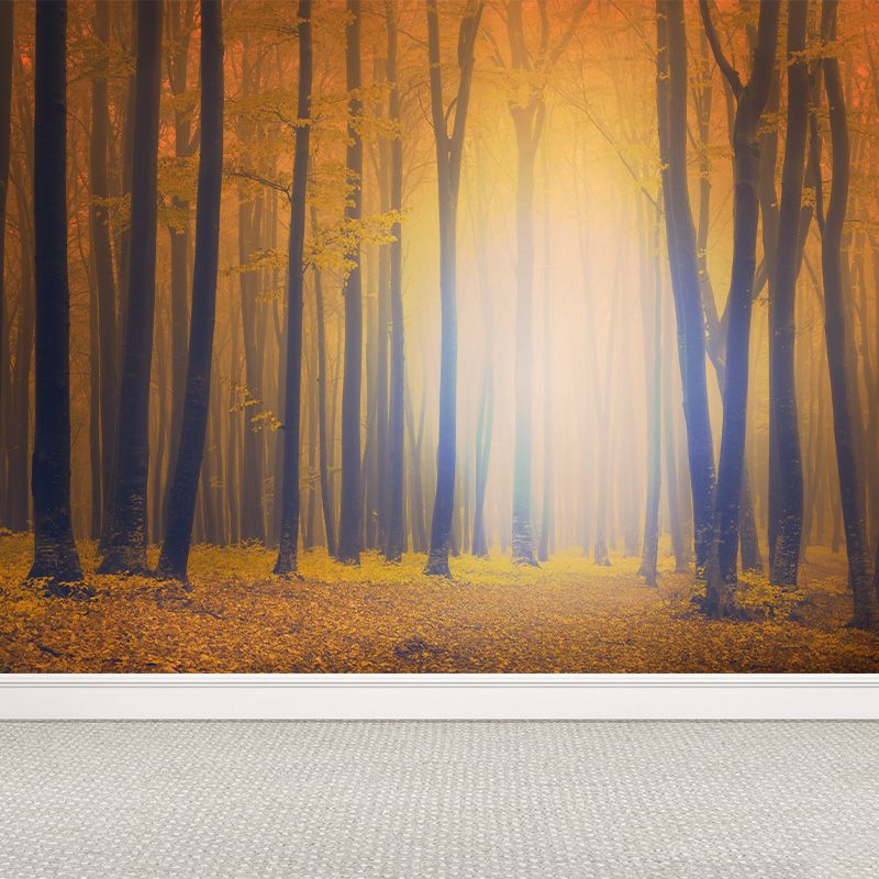 Scenery Print Mural Wallpaper Soft Color Contemporary Wall Decor for House Interior