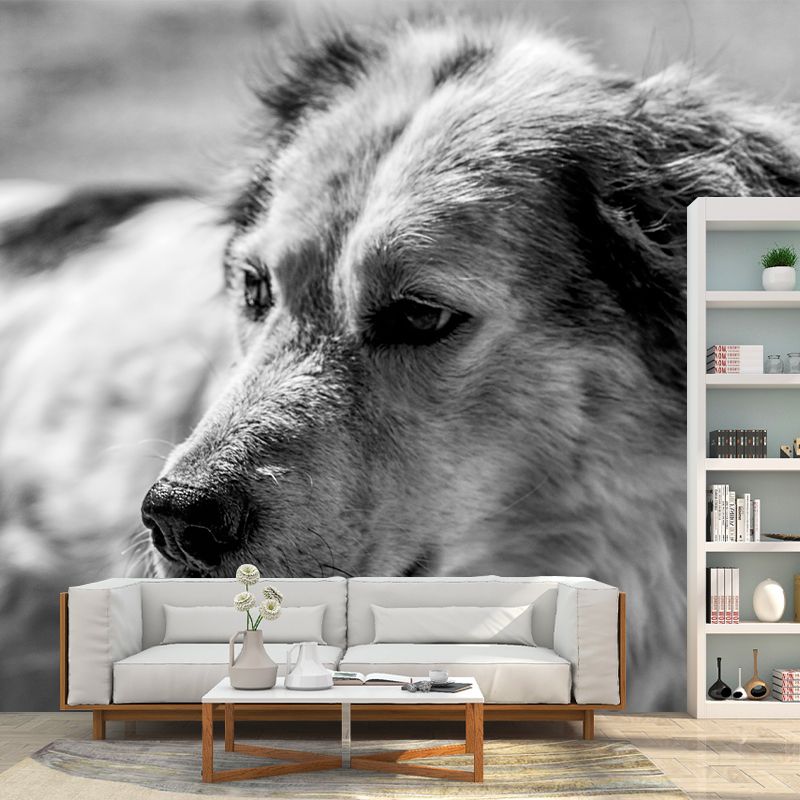 Naughty Puppy Mural Wallpaper Mildew Resistant Home Decor, Waterproofing