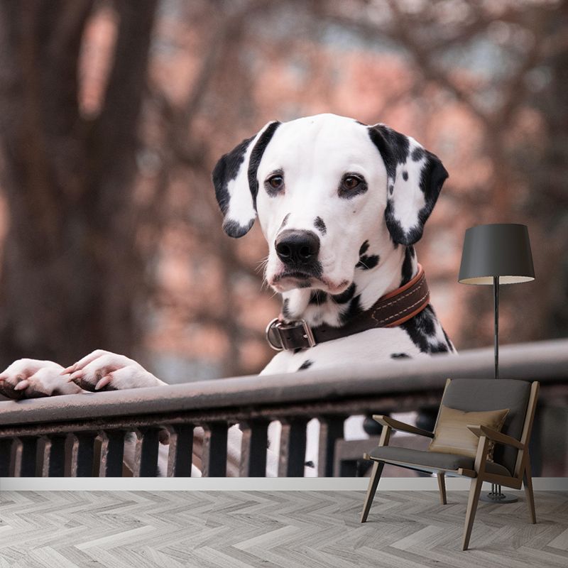 Horizontal Photography Dalmatians Mural Stain Resistant Wall Art for Living Room