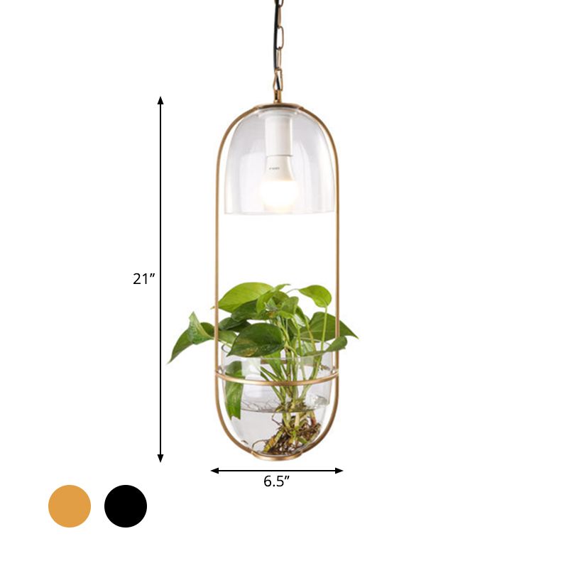 Black/Gold Oblong Pendant Lamp Rural Metallic Single Dorm Room Ceiling Hang Light with Fish Bowl and Clear Glass Shade