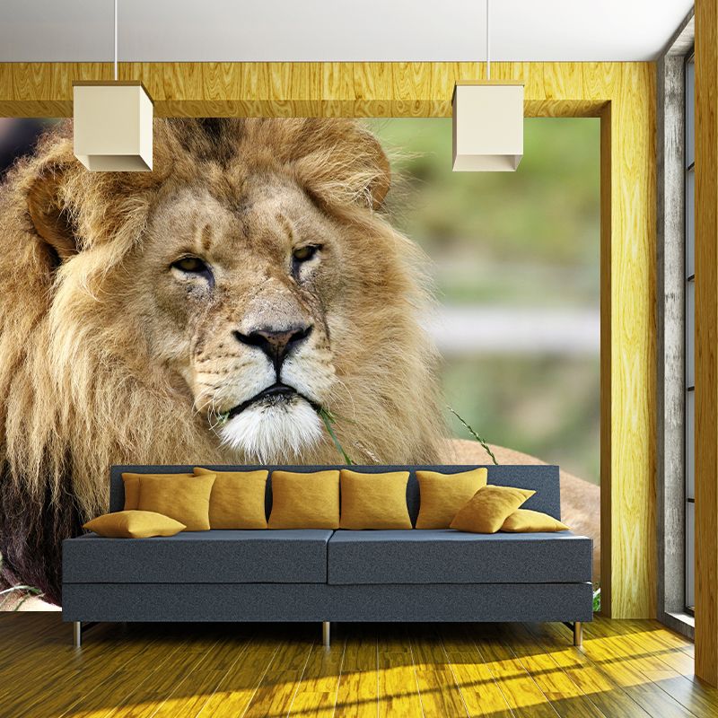 Wild Animal Lion Mural Wallpaper for Living Room, Multiple Sizes Available