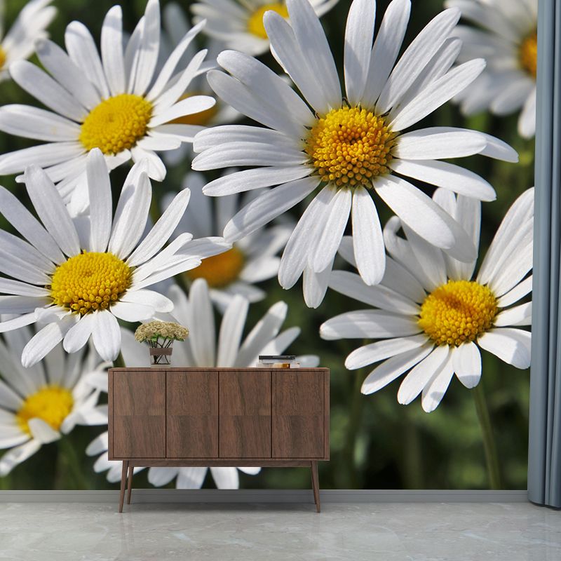 Chamomile Wall Murals Flower Modernist Sleeping Room Wall Decor, Moisture Resistant