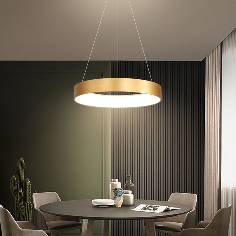 Modern Simple Style LED Pendant Light Living Room Hanging Light Fixture