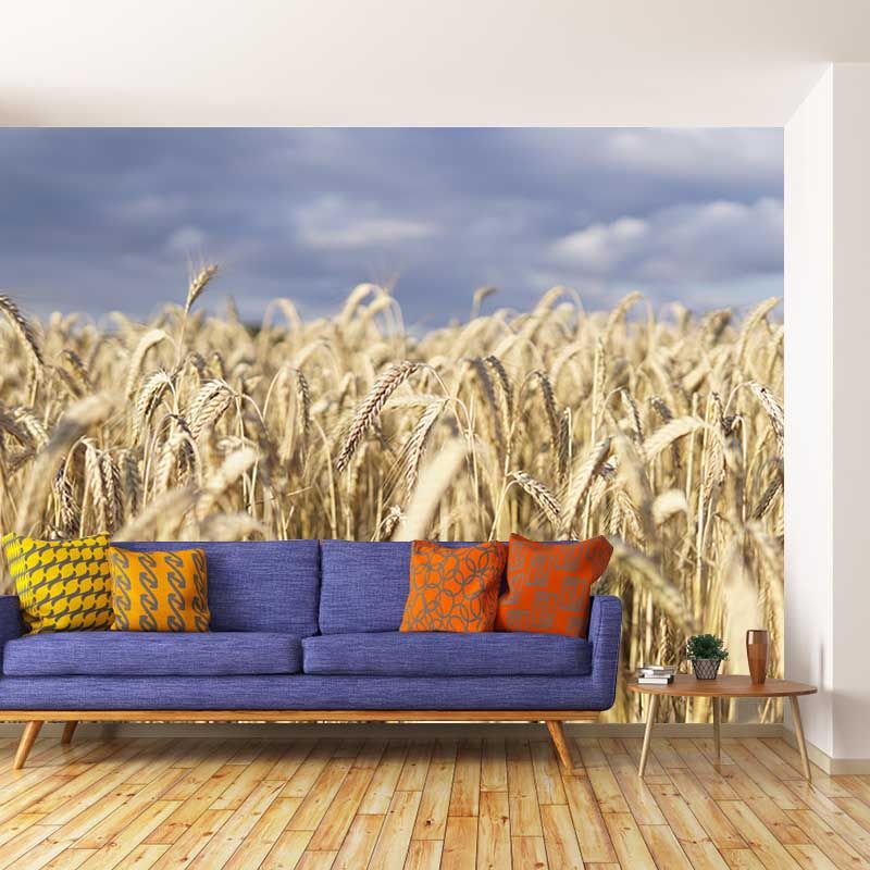 Wheat Field Mural Stain Resistant with Plump Ears of Wheat Pattern Wall Art for Dining Room