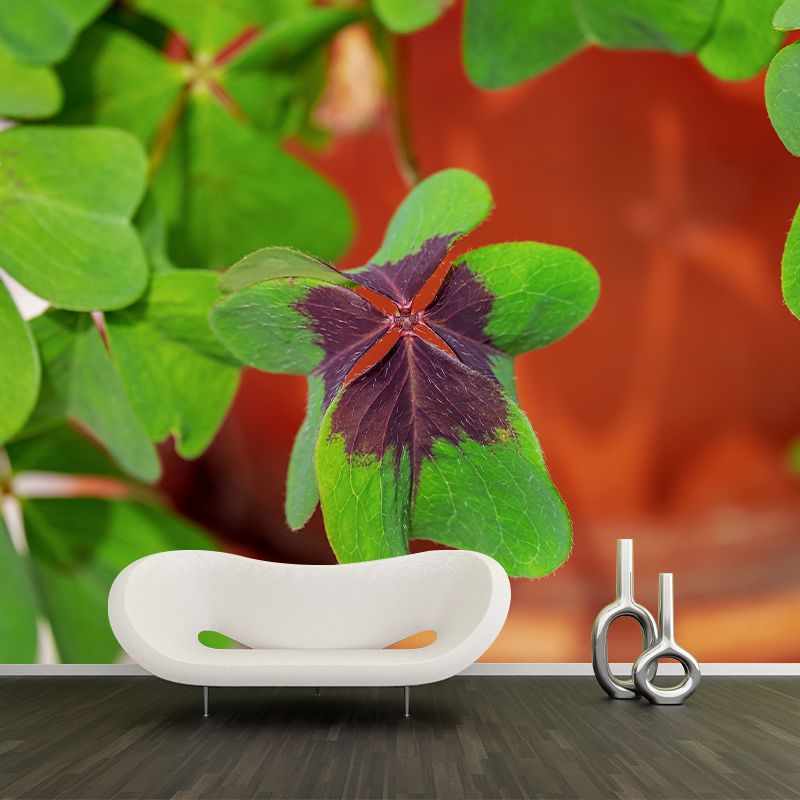 Clover Plant Mural Decal for Reading Room Study Room, Moisture Resistant