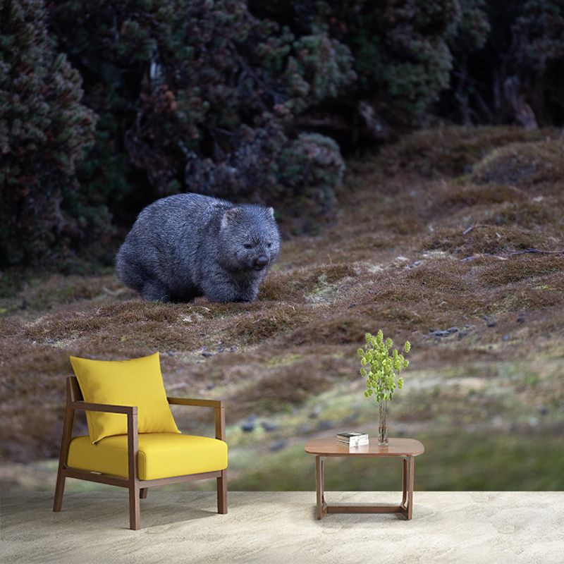 Customized Koala Wall Mural Horizontal Photography for Sleeping Room Decoration