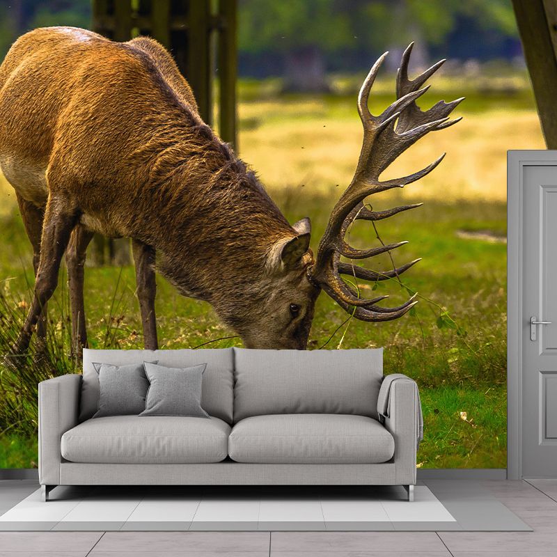 Deer Animal Mural Wallpaper Stain Resistant Wall Covering for Living Room