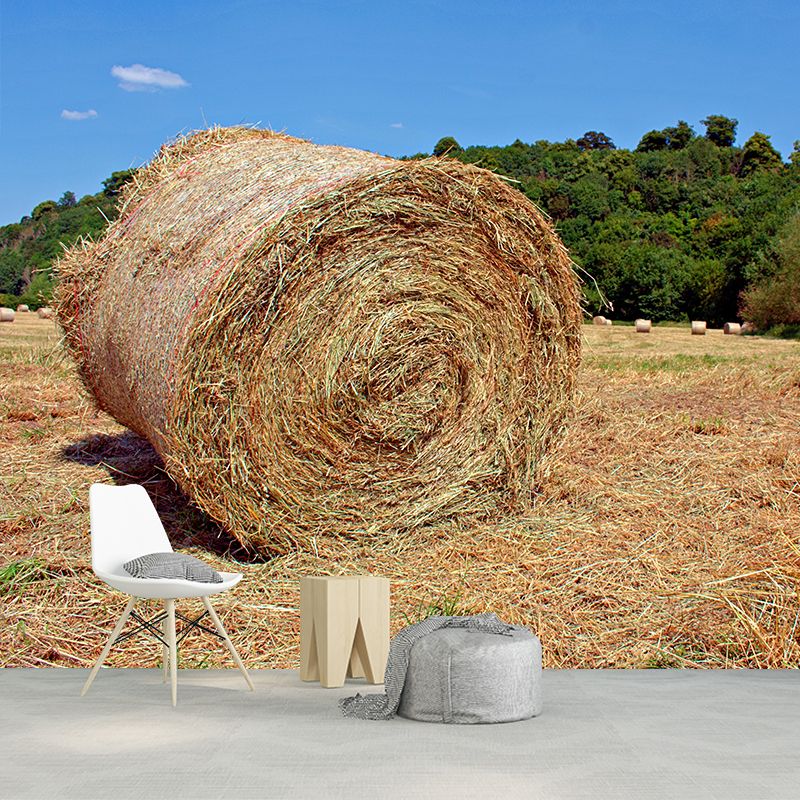 Moisture Resistant Straw Bales Mural Wall Covering for Kitchen Wall Decor