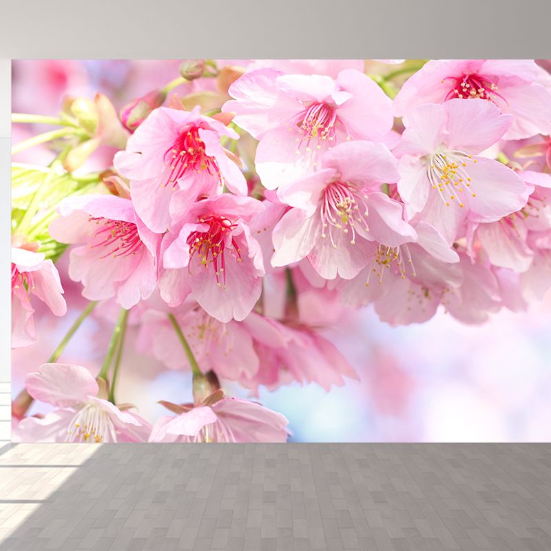Modern Cherry Blossom Mural Decal Pink Living Room Wall Covering, Custom Size Available