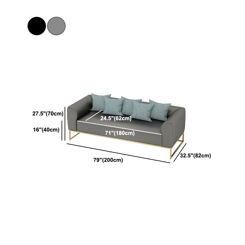 Golden Frame Sofa with Pillow Back and Tuxedo Arm for Apartment