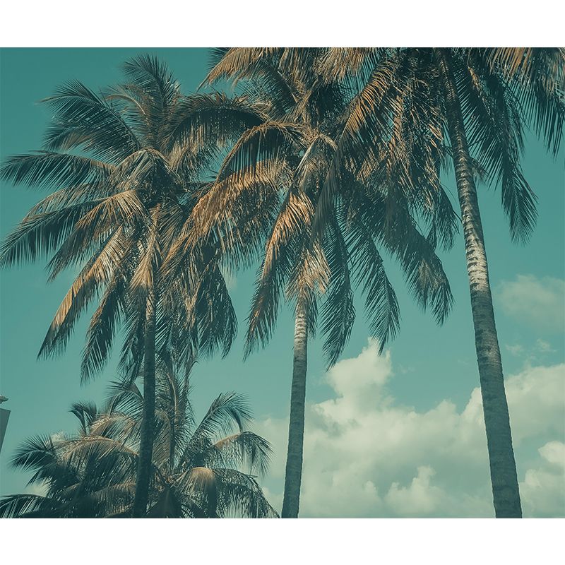 Waterproof Tropical Palm Mural Wallpaper Photography Wall Art