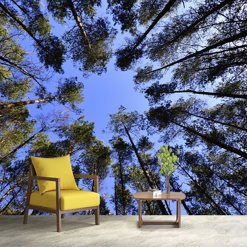 Fancy Scene Style Forest Wall Mural Wallpaper Photography Mildew Resistant for Room