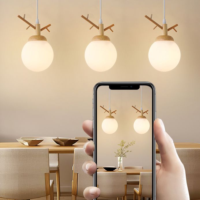 Globe Glass Hanging Lamp in moderne eenvoud houten hanglamp voor eetkamer