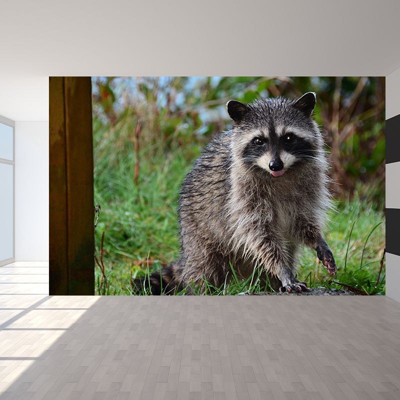 Raccoon Mural Wallpaper Contemporary Style Wall Covering for Living Room