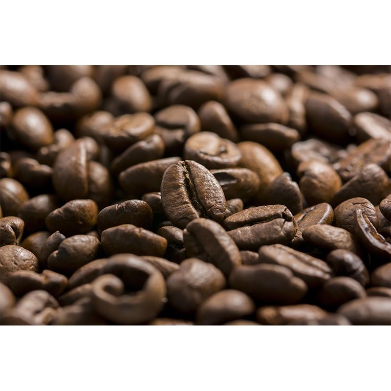 Soft Color Coffee Beans Mural Wallpaper Photography Restaurant Wall Mural