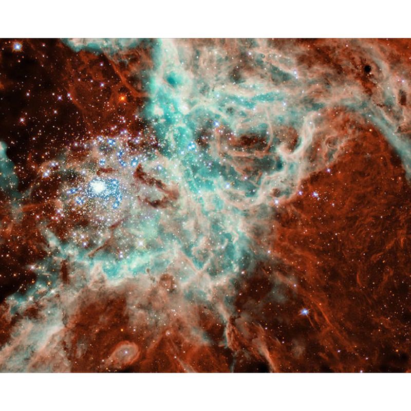 Full Size Photography Modern Mural Decal with Sky View in Pastel Color, Custom Size Available