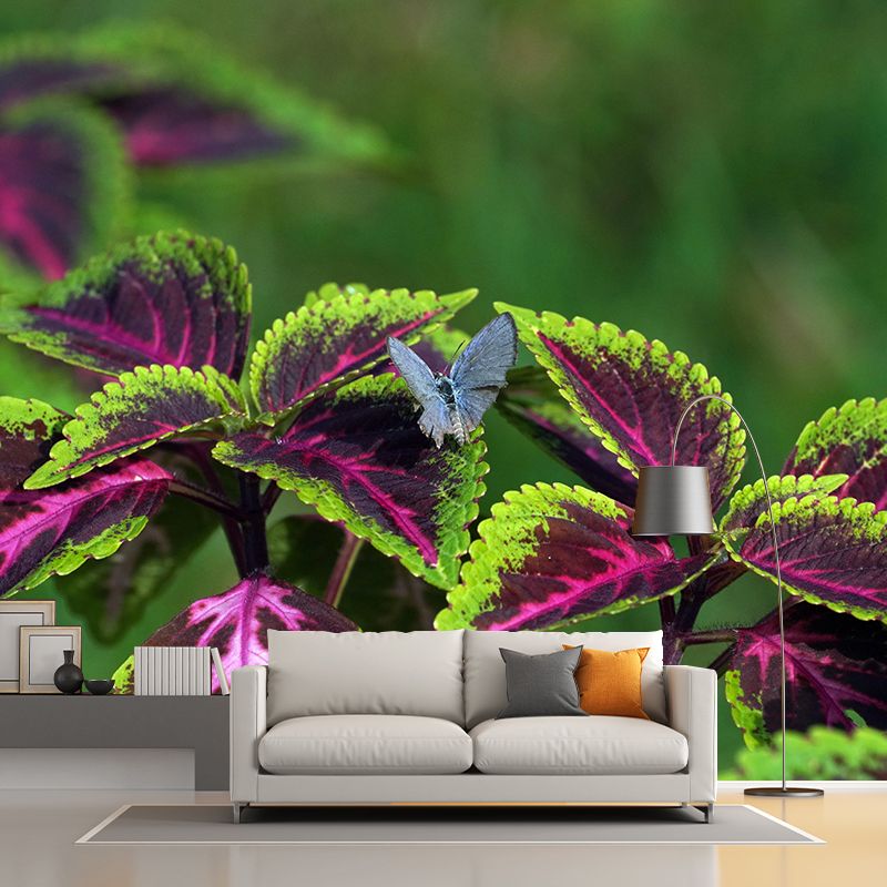 Coleus Leaves Mural Wallpaper Stain Resistant Wall Covering for Living Room