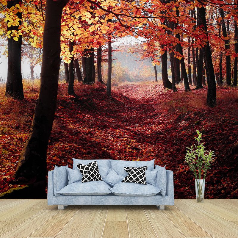 Eco-friendly Forest Photography Mural Wallpaper Sitting Room Wallpaper