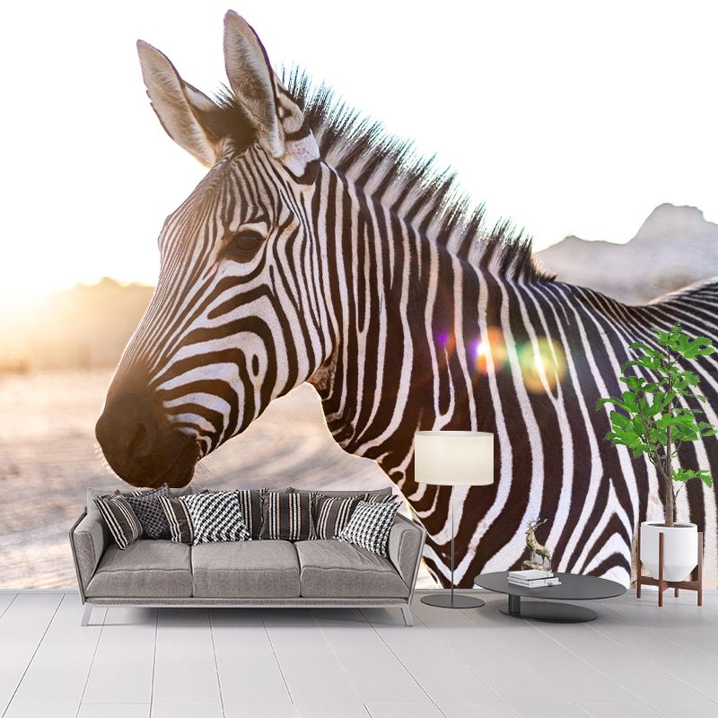 Photography Zebra Mural Wallpaper for Sitting Room Decor Multiple Sizes Available