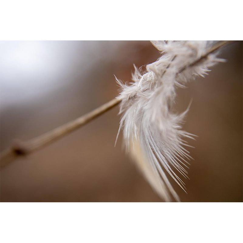 Bird Feather Photography Mural Eco-friendly Decorative Wallpaper Home Decor