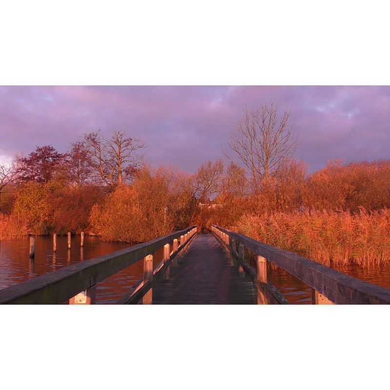 Wooden Bridge Photography Mildew Resistant Wallpaper Sleeping Room Wall Mural