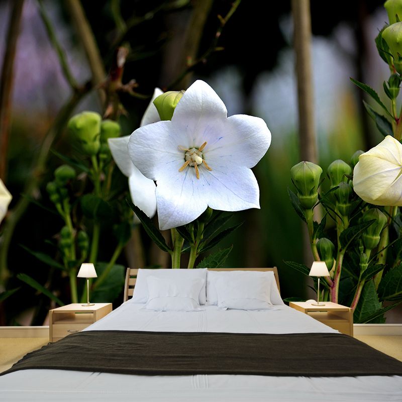 Customized Bluebell Mural Wall Covering Eco-friendly Wallpaper for Bedroom