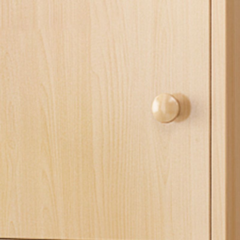 Contemporary Rectangle Wood  With Doors and Knobs Accent Cabinet