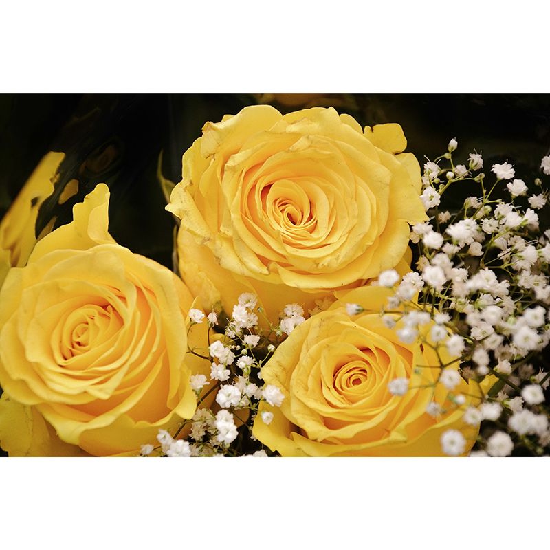 Rose Flower Mural Wallpaper for Girl Bedroom Moisture Resistant, Custom Size Available