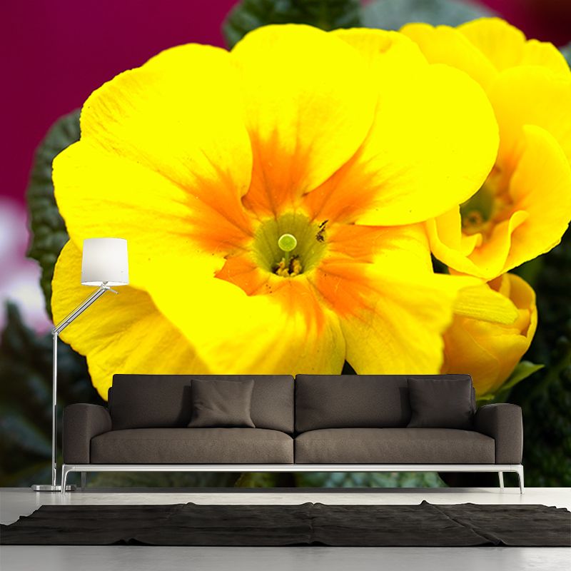 Yellow Flower Mural Wallpaper Bedroom Decorative Wall Art, Personalized Size