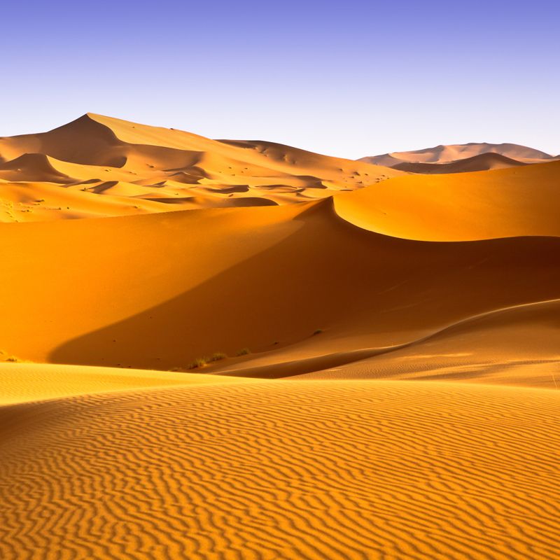 Yellow Sundown Sand Dune Mural Wallpaper Stain-Resistant Modernism Sitting Room Wall Decor