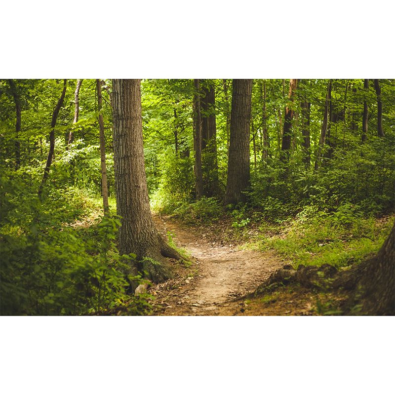 Full Size Jungle Mural Wallpaper in Green Non-Woven Fabric Wall Art for Coffee Shop, Made to Measure