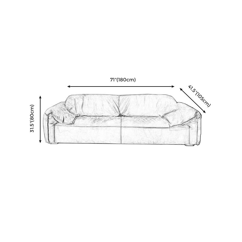 Modern Pillow Top Arm Standard Sofa Impermeable Sofa for Living Room, Apartment