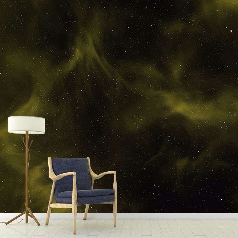 Environmental Photography Mural Wallpaper Galaxy Indoor Wall Mural