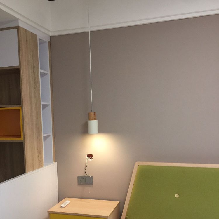 Cylindrical Mini Pendant Light Fixture Nordic Metal Single Hallway Hanging Light