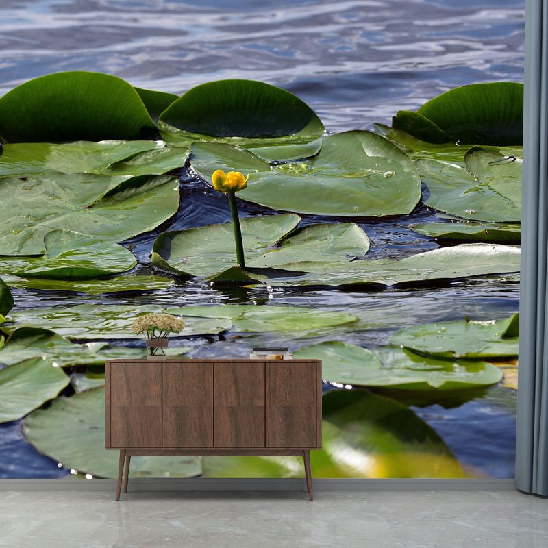 Green Lotus Leaf Full Size Wall Mural for Living Room, Moisture Resistant