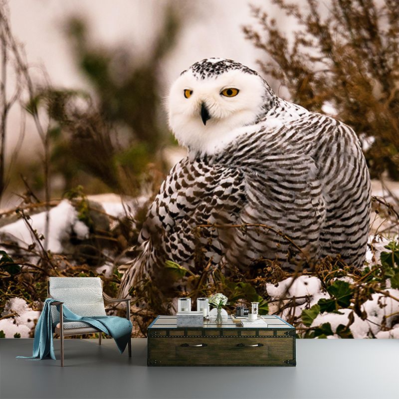 Vivid Animal Contemporary Style Wild Animal Mural Mildew Resistant Wall Covering