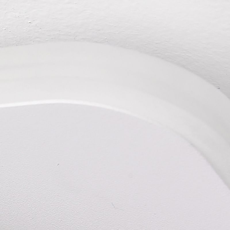 Contemporary Flush Mount Ceiling Lighting Fixture LED Ceiling Light for Bedroom