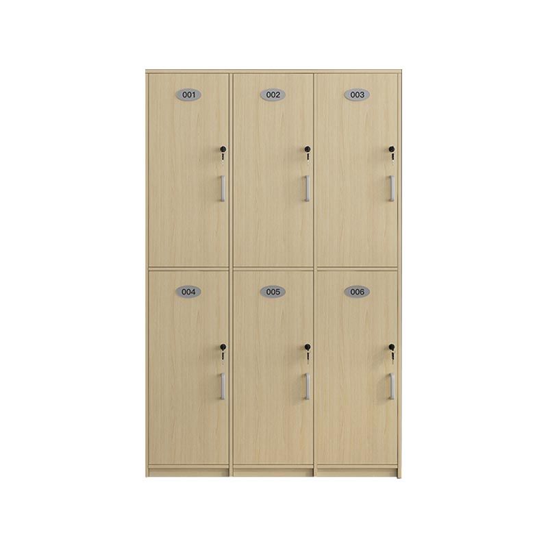 Natural Finish Cabinet with Hinged Door Contemporary Interior Storage Cabinet