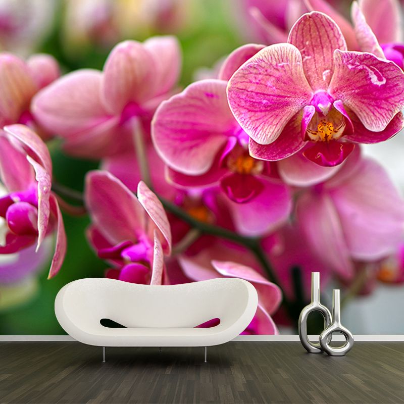 Orchid Flower Wall Covering for Living Room Waterproofing Mural Wallpaper Decorative